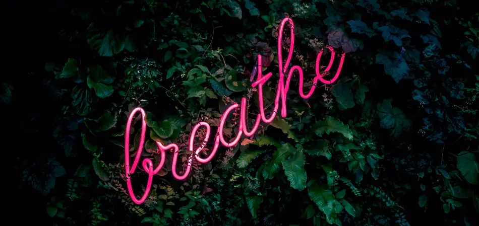 Pink neon sign that reads Breathe against a wall of foliage