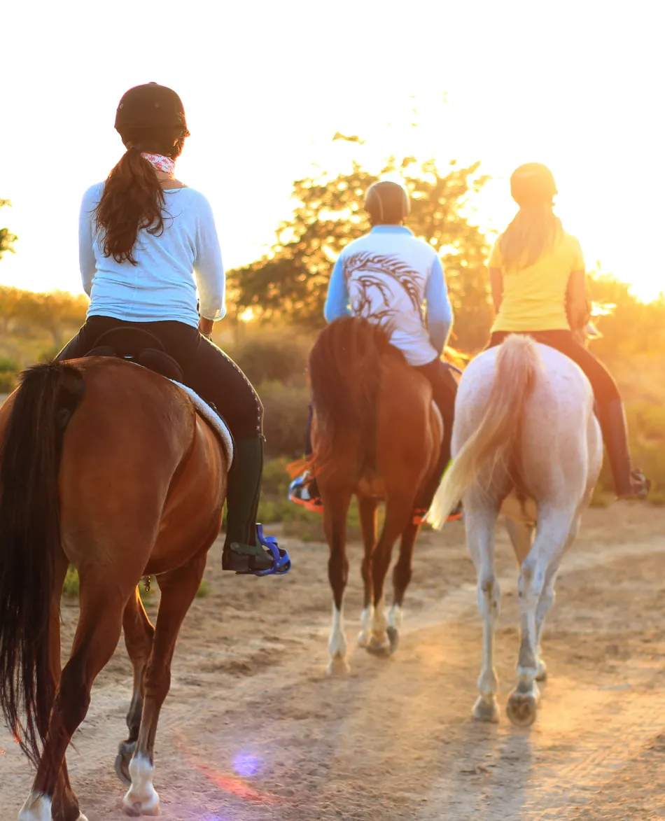 View from behind. In front are three horseback riders in front of a sunset horizon. They have helmets.